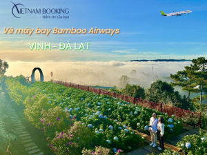 Khám phá xứ ngàn hoa với vé máy bay Bamboo Airways Vinh đi Đà Lạt