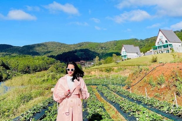 Wonderland Đà Lạt - Thời gian vui chơi