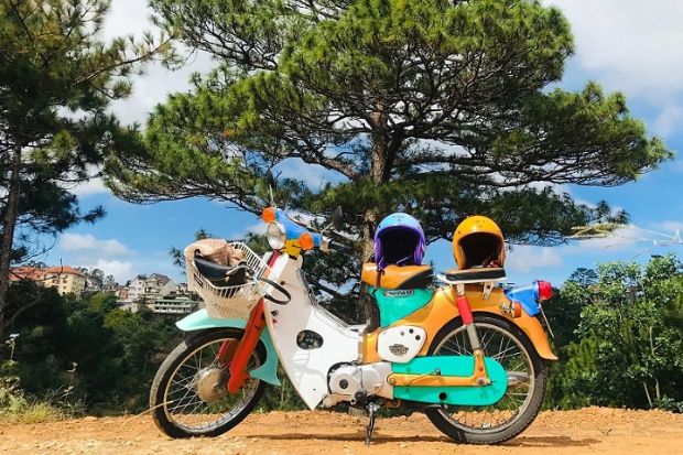 Wonderland Đà Lạt - Xe máy