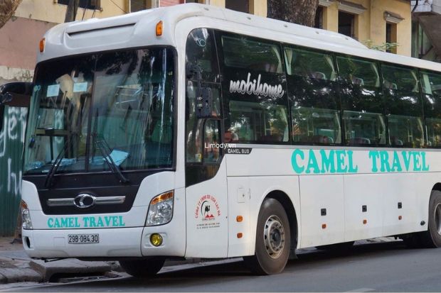 xe đi Đ&agrave; Nẵng - Camel Travel