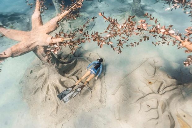 Ayia Napa bảo t&agrave;ng dưới nước - Chuyến tham quan tuyệt vời