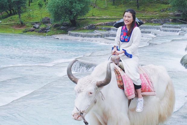 Bạch Thủy Hà - Cưỡi bò