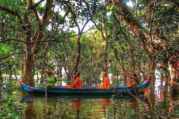 Biển hồ Tolse Sap Campuchia - Khám phá rừng đước