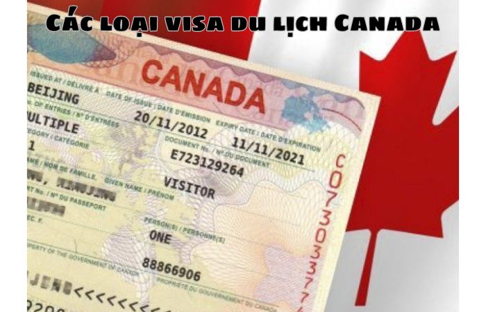 Các loại visa Canada mà bạn nên biết