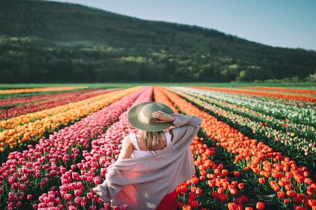 cơ hội định cư H&agrave; Lan