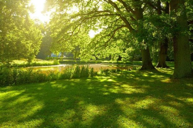 kh&iacute; hậu trong l&agrave;nh ở Đức