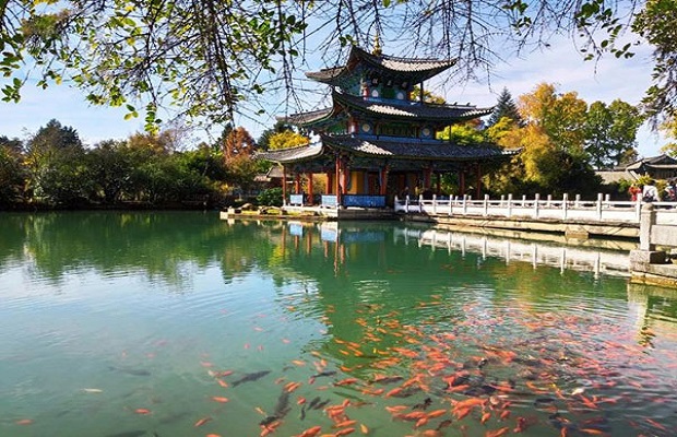 công viên hắc long đàm - Tham quan hồ cá