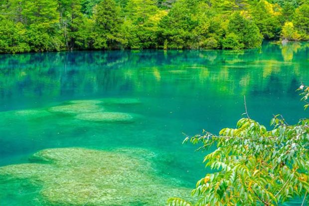 Cửu Trại C&acirc;u - Hồ Song Long