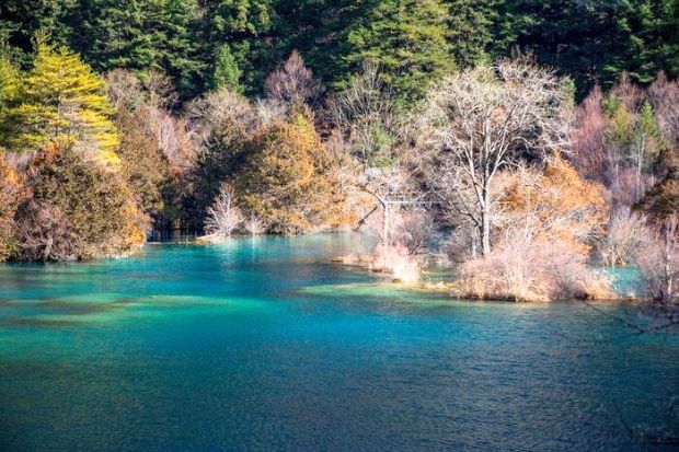 Cửu Trại C&acirc;u - Hồ Hỏa Hoa