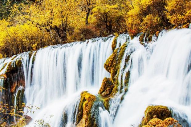 Cửu Trại C&acirc;u - Th&aacute;c Thụ Ch&iacute;nh