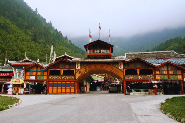 Cửu Trại C&acirc;u - L&agrave;ng Thụ Ch&iacute;nh