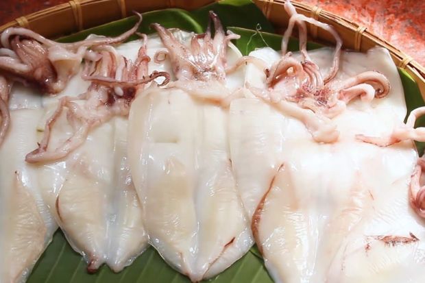 đặc sản đ&agrave; nẵng - mực 1 nắng