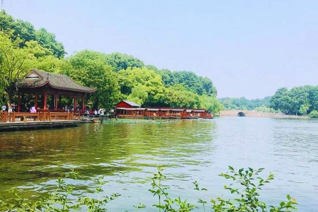 Đàn tế Thiên Đàn - Khu rừng cây bách