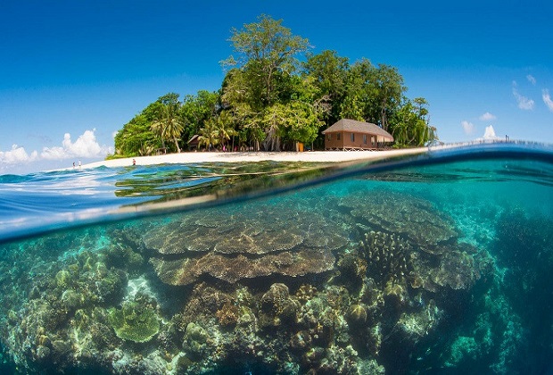 đảo sipadan -giới thiệu đảo sipadan