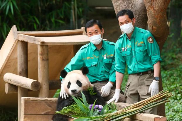 Gấu trúc Fubao - Fubao cùng 2 ông