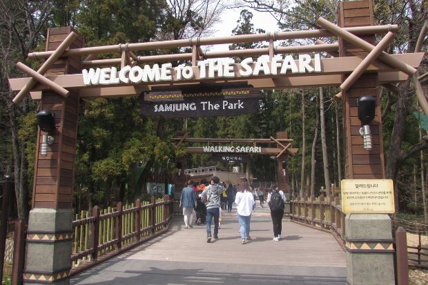 Gấu trúc Fubao - Công viên Samjung