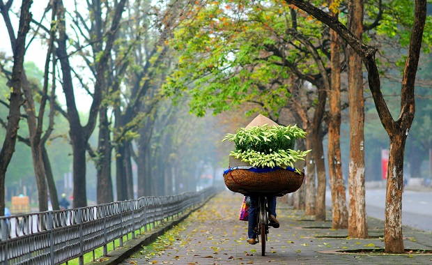 Phố Kim Mã Hà Nội