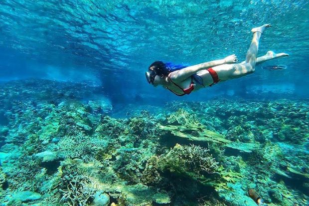 H&ograve;n Tranh Ph&uacute; Qu&yacute; - Lặn biển