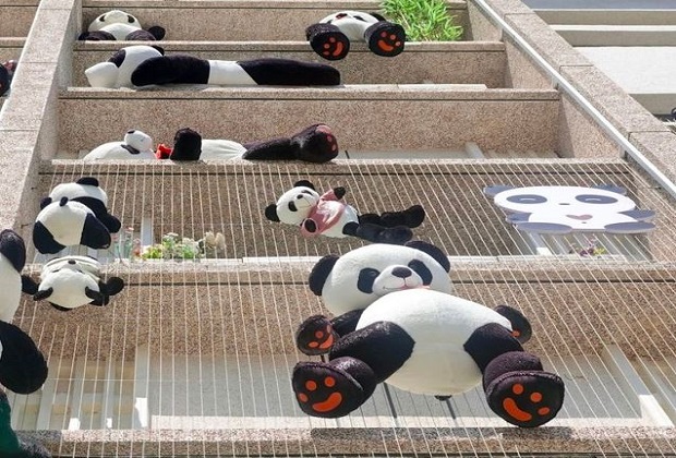 kh&aacute;ch sạn Manxin Trung Quốc - thỏa th&iacute;ch check-in