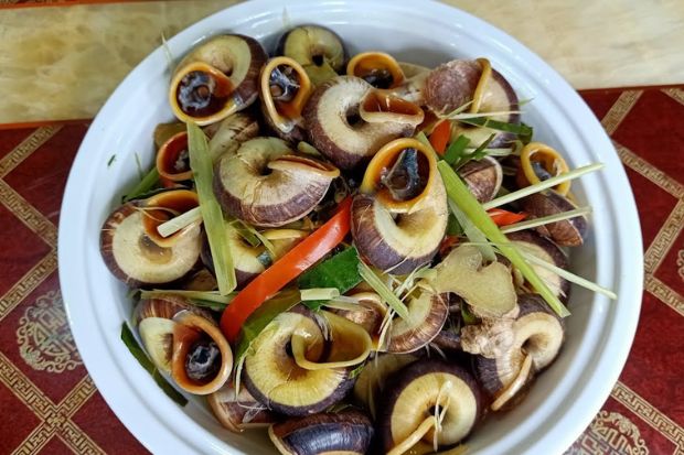 toplist combo ninh b&igrave;nh - ốc n&uacute;i Ninh B&igrave;nh