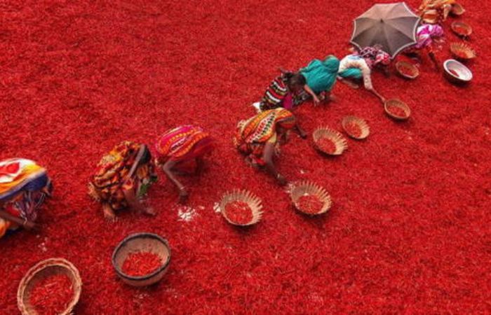 làm việc tại banglades