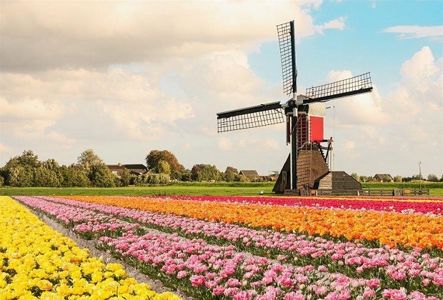 vườn hoa keukenhof - lịch sử hình thành