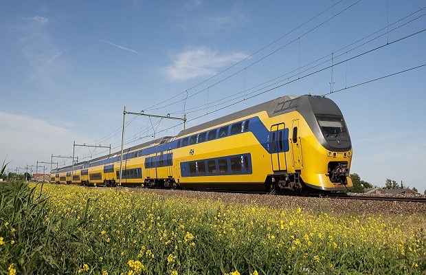 Vườn hoa Keukenhof - cách đi vườn hoa Keukenhof