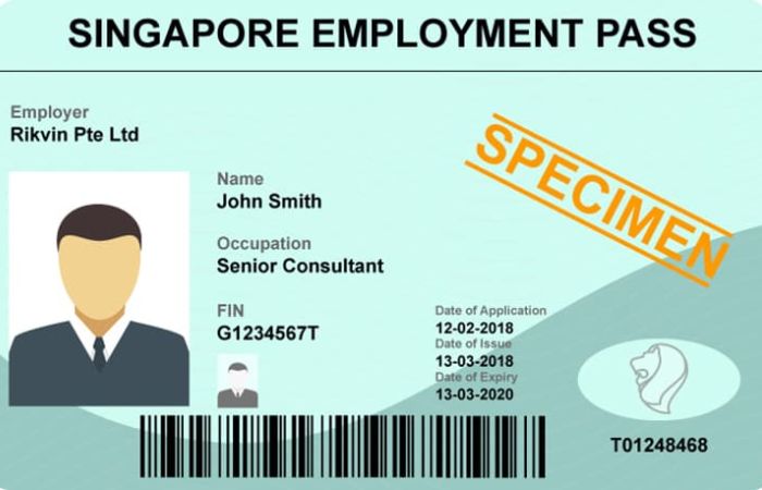 Employment Pass&nbsp;