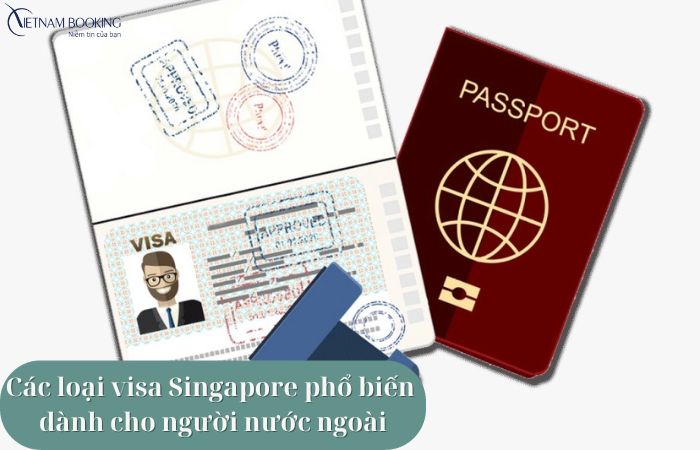 Các loại visa Singapore phổ biến dành cho người nước ngoài