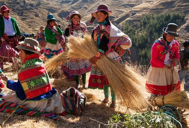 cầu treo q'eswachka - quá trình xây cầu