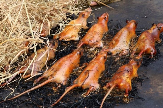 Đặc sản Bắc Ninh - Thịt chuột Đ&igrave;nh Bảng