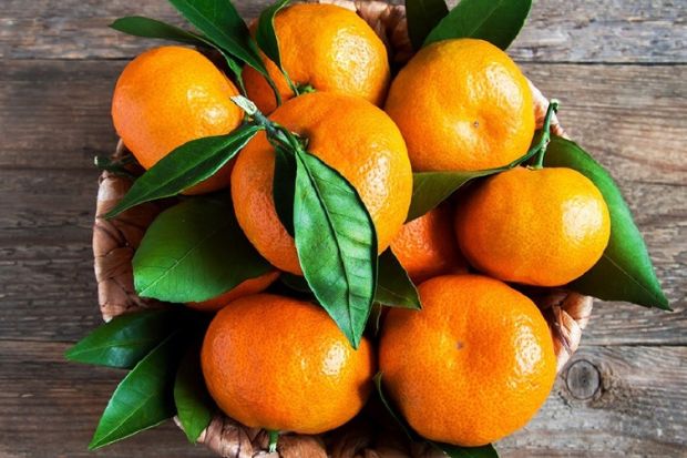 Đặc sản Hà Nam - Quýt Lý Nhân