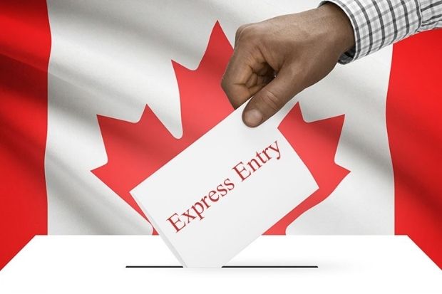 Con đường nhập cư chính của New Zealand và Canada là gì?