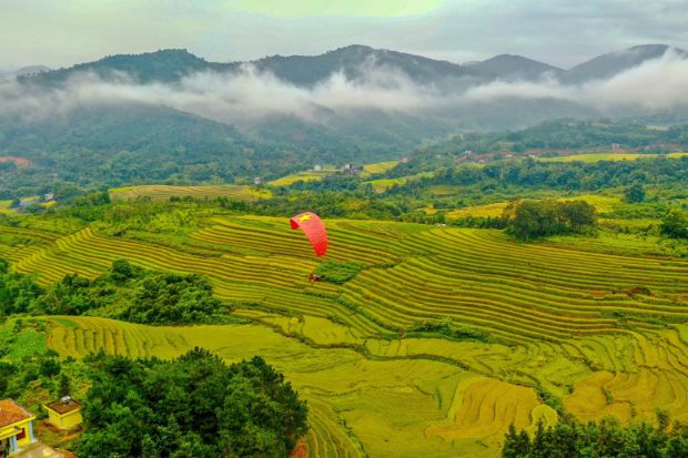 Hội mùa vàng Bình Liêu Bình Liêu mùa cỏ lau 2023 - Dù lượn