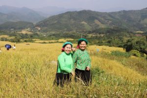 Có gì tại hội mùa Vàng Bình Liêu Bình Liêu mùa cỏ lau 2023?