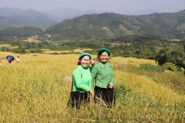 Hội mùa vàng Bình Liêu Bình Liêu mùa cỏ lau 2023 - Du khách du lịch