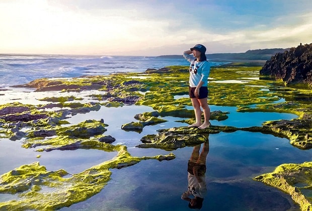 hòn đỏ ninh thuận - Chiêm ngưỡng những rạn san hô trên cạn