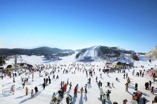 Khu trượt tuyết Hàn Quốc - Welli Hilli Park Ski Resort