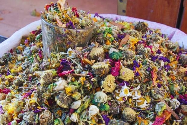 L&agrave;ng Lerik tuổi thọ cao nhất thế giới - Thảo mộc