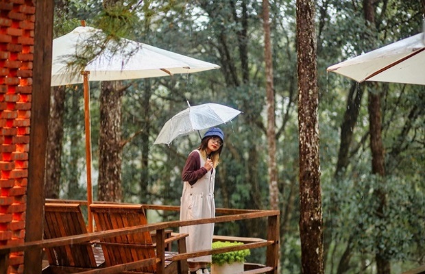 lễ hội văn hóa măng đen 2023 - thiên đường du lịch