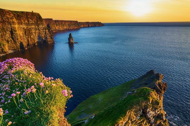 liệt kê các sản phẩm combo ninh thuận - Mũi Đá Vách