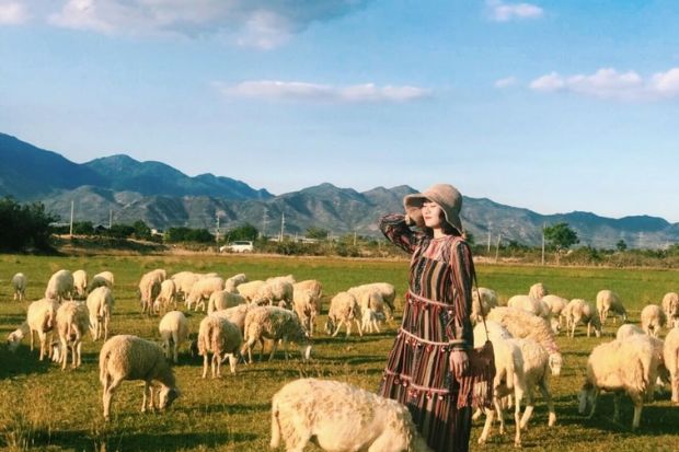 liệt kê các sản phẩm combo ninh thuận - Đồng cừu An Hòa