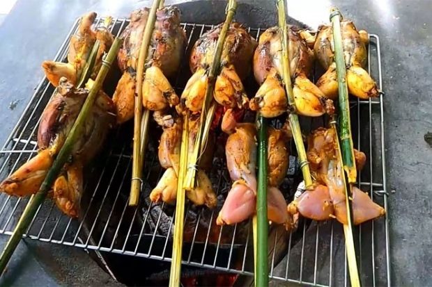 Món ăn ngon ở Ninh Thuận - Ếch nướng nguyên con