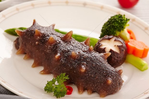 M&oacute;n ngon đảo Ph&uacute; Qu&yacute; - Hải s&acirc;m