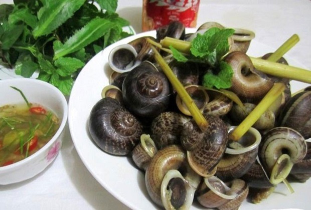 món ngon ở tây ninh - ốc xu núi bà đen