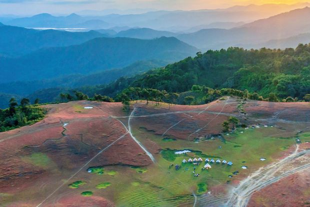 Mùa cỏ hồng Đà Lạt - Đồi cỏ Masara