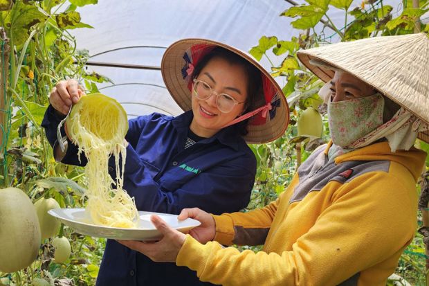 Quả bí sợi mì - Hàm lượng dinh dưỡng