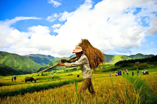 Thi&ecirc;n đường xanh P&ugrave; Lu&ocirc;ng - Bản Kho Mường