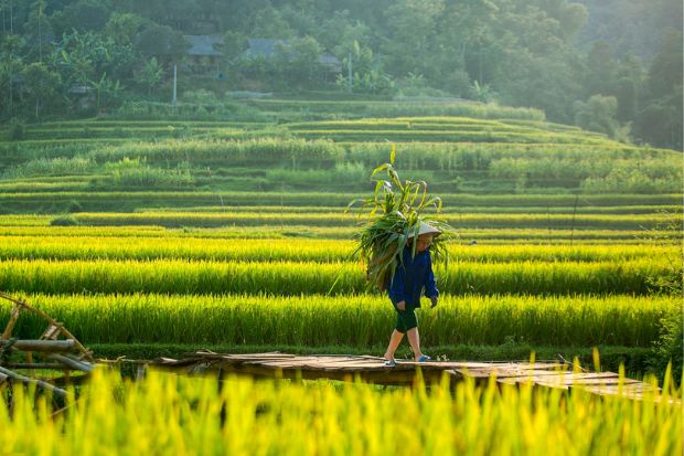 Thi&ecirc;n đường xanh P&ugrave; Lu&ocirc;ng - Bản Đ&ocirc;n