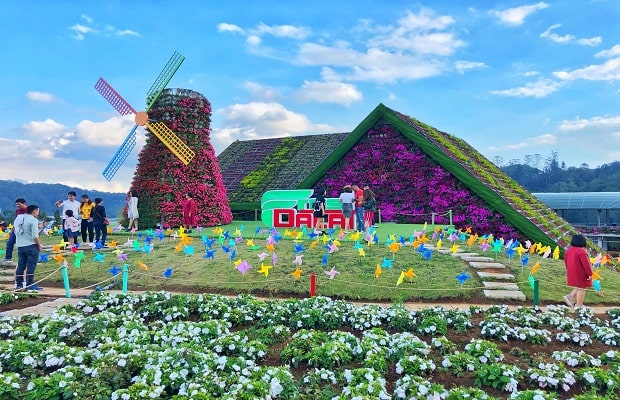 tour du lịch Đà Lạt - Tour du lịch Đà Lạt mùa xuân